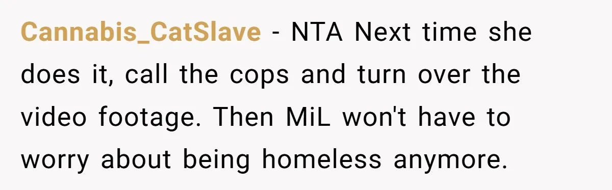 Cannabis_CatSlave − NTA Next time she does it, call the cops and turn over the video footage. Then MiL won't have to worry about being homeless anymore.