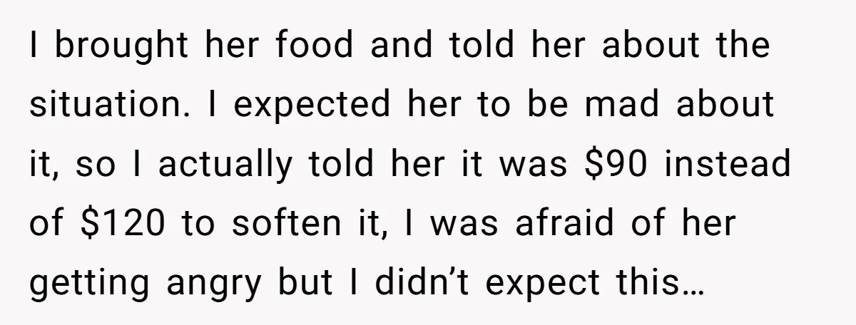 I brought her food and told her about the situation. I expected her to be mad about it, so I actually told her it was $90 instead of $120 to...