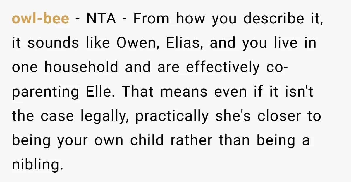 owl-bee − NTA - From how you describe it, it sounds like Owen, Elias, and you live in one household and are effectively co-parenting Elle. That means even if it...
