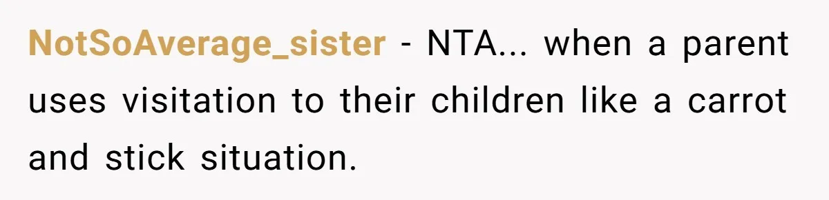 NotSoAverage_sister - NTA... when a parent uses visitation to their children like a carrot and stick situation.