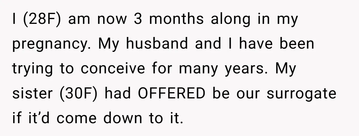 I (28F) am now 3 months along in my pregnancy. My husband and I have been trying to conceive for many years. My sister (30F) had OFFERED be our surrogate...