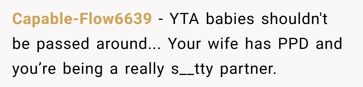 Capable-Flow6639 - YTA babies shouldn't be passed around... Your wife has PPD and you’re being a really s__tty partner.