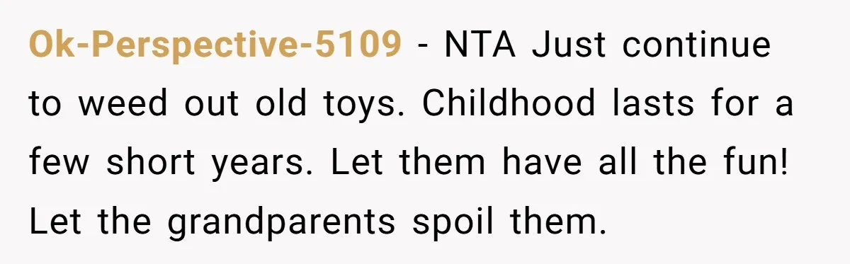 Ok-Perspective-5109 − NTA Just continue to weed out old toys. Childhood lasts for a few short years. Let them have all the fun! Let the grandparents spoil them.