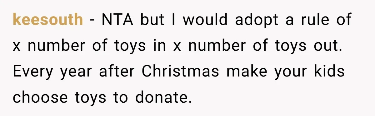 keesouth − NTA but I would adopt a rule of x number of toys in x number of toys out. Every year after Christmas make your kids choose toys to...