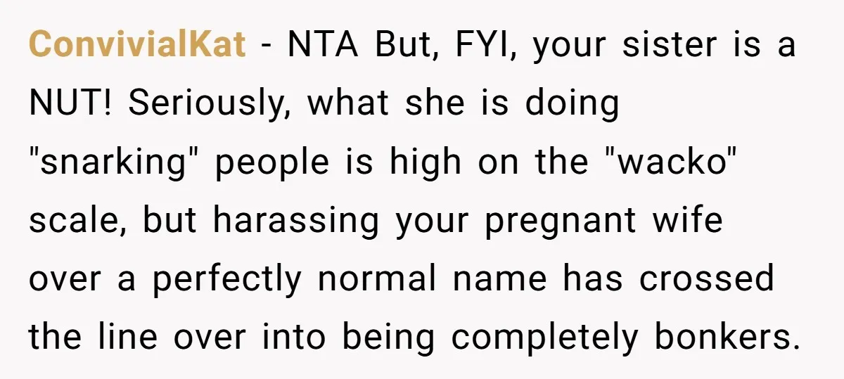 ConvivialKat − NTA But, FYI, your sister is a NUT! Seriously, what she is doing "snarking" people is high on the "wacko" scale, but harassing your pregnant wife over a...