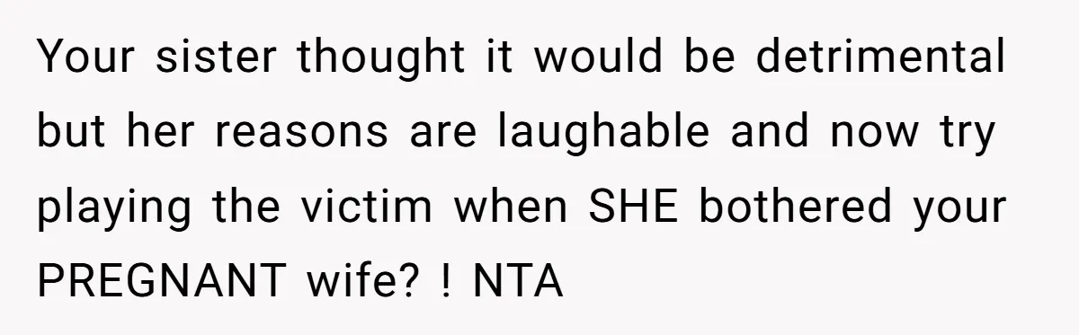 Your sister thought it would be detrimental but her reasons are laughable and now try playing the victim when SHE bothered your PREGNANT wife? ! NTA
