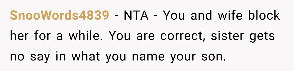 SnooWords4839 − NTA - You and wife block her for a while. You are correct, sister gets no say in what you name your son.