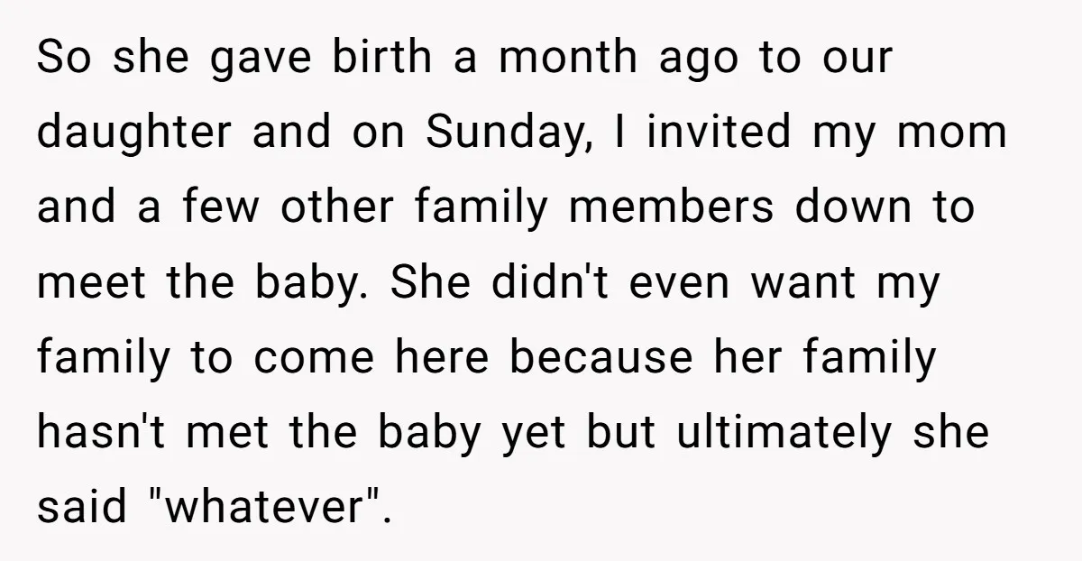 So she gave birth a month ago to our daughter and on Sunday, I invited my mom and a few other family members down to meet the baby. She didn't...