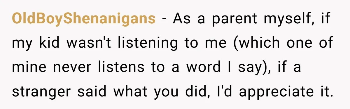 OldBoyShenanigans − As a parent myself, if my kid wasn't listening to me (which one of mine never listens to a word I say), if a stranger said what you...