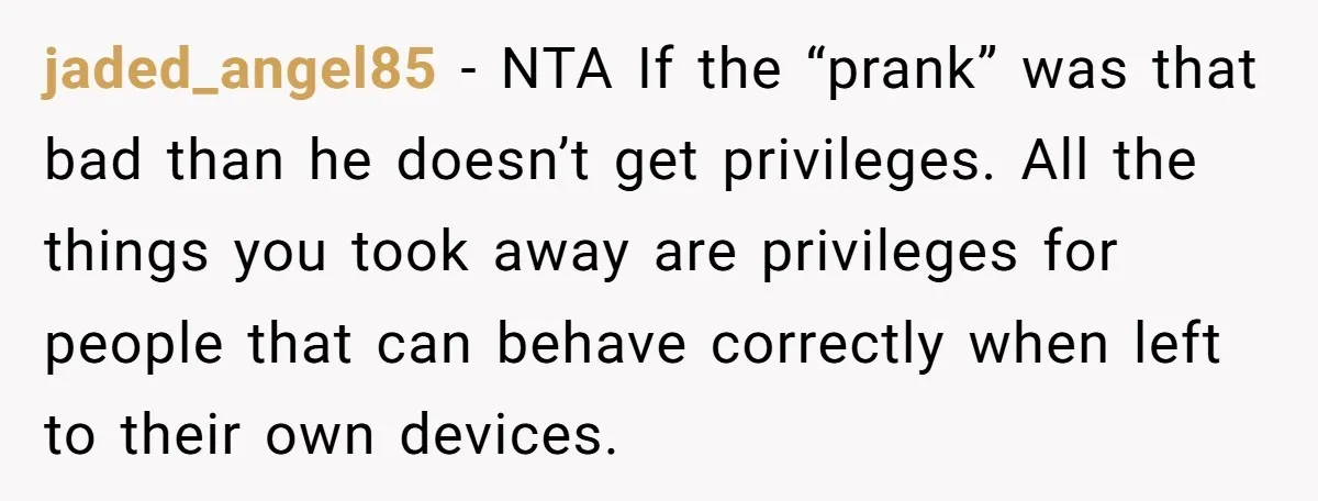 jaded_angel85 − NTA If the “prank” was that bad than he doesn’t get privileges. All the things you took away are privileges for people that can behave correctly when left...