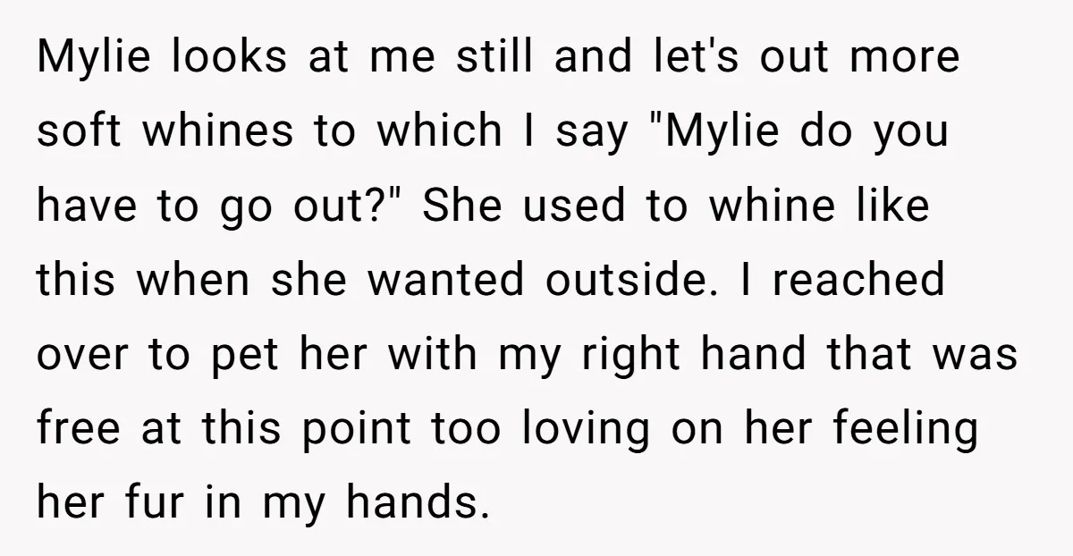 Mylie looks at me still and let's out more soft whines to which I say "Mylie do you have to go out?" She used to whine like this when she...