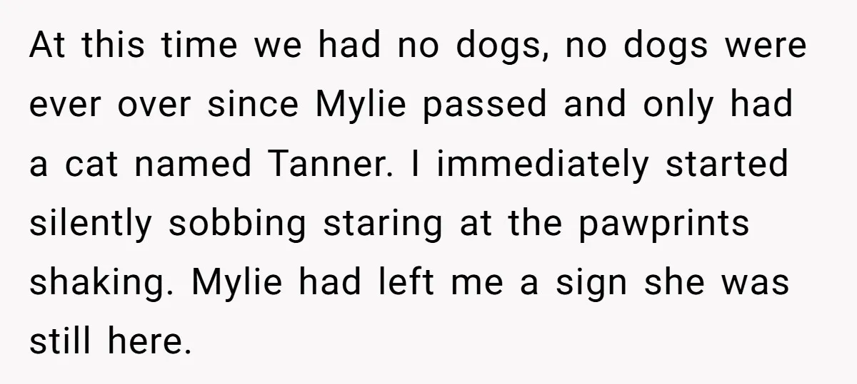 At this time we had no dogs, no dogs were ever over since Mylie passed and only had a cat named Tanner. I immediately started silently sobbing staring at the...