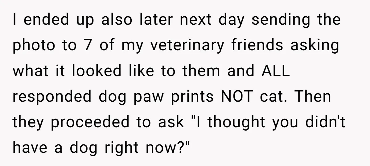 I ended up also later next day sending the photo to 7 of my veterinary friends asking what it looked like to them and ALL responded dog paw prints NOT...