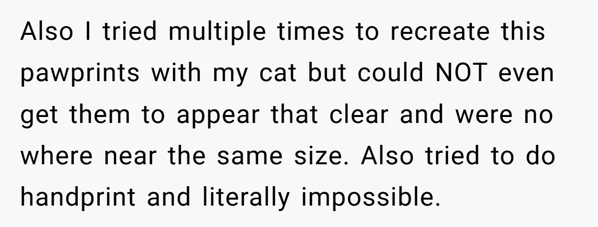 Also I tried multiple times to recreate this pawprints with my cat but could NOT even get them to appear that clear and were no where near the same size....