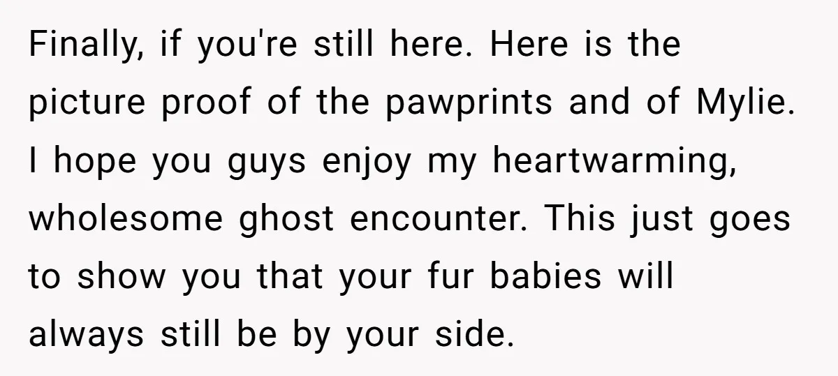 Finally, if you're still here. Here is the picture proof of the pawprints and of Mylie. I hope you guys enjoy my heartwarming, wholesome ghost encounter. This just goes to...