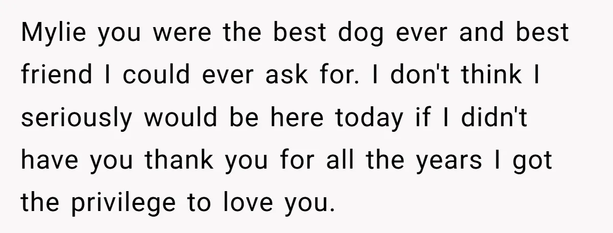 Mylie you were the best dog ever and best friend I could ever ask for. I don't think I seriously would be here today if I didn't have you thank...
