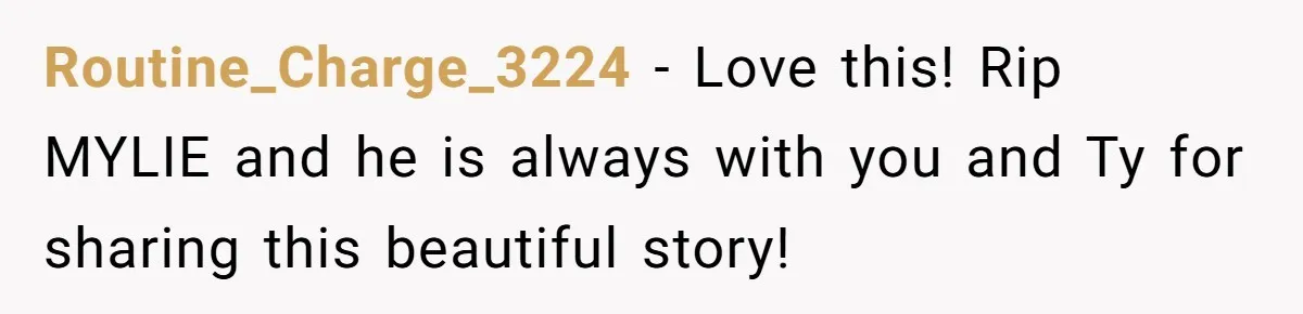 Routine_Charge_3224 − Love this! Rip MYLIE and he is always with you and Ty for sharing this beautiful story!