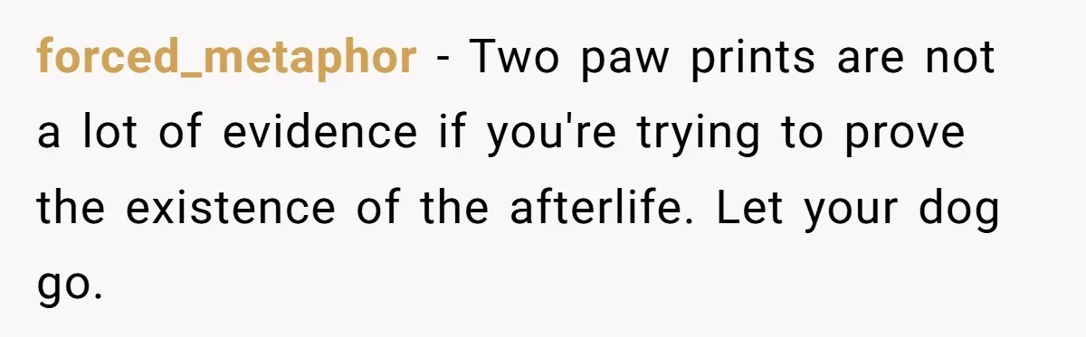 forced_metaphor − Two paw prints are not a lot of evidence if you're trying to prove the existence of the afterlife. Let your dog go.