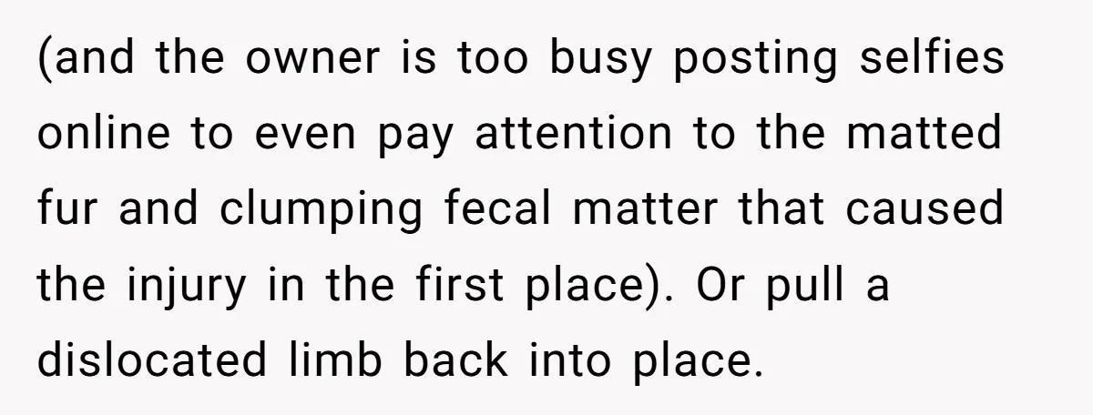 (and the owner is too busy posting selfies online to even pay attention to the matted fur and clumping fecal matter that caused the injury in the first place). Or...
