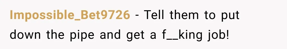 Impossible_Bet9726 − Tell them to put down the pipe and get a f__king job!