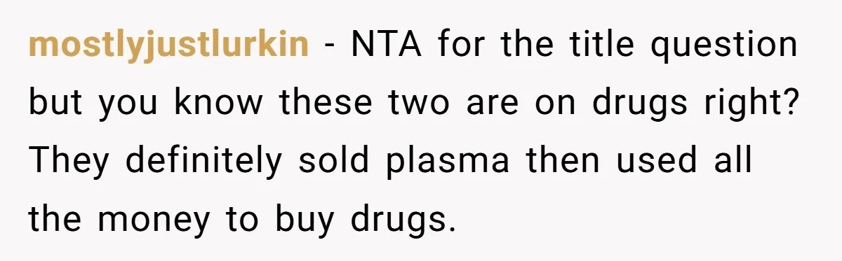 mostlyjustlurkin − NTA for the title question but you know these two are on drugs right? They definitely sold plasma then used all the money to buy drugs.