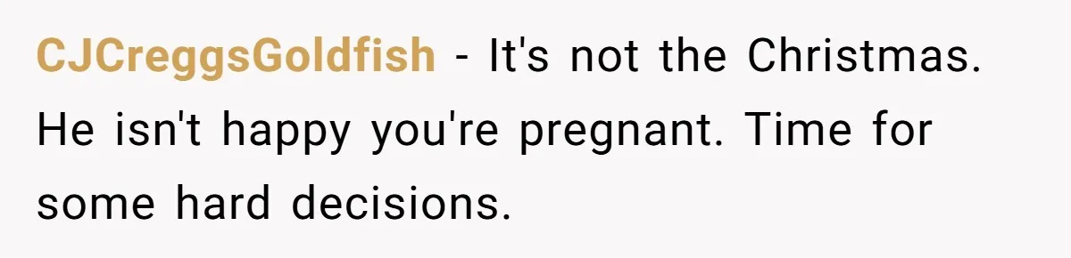 CJCreggsGoldfish − It's not the Christmas. He isn't happy you're pregnant. Time for some hard decisions.