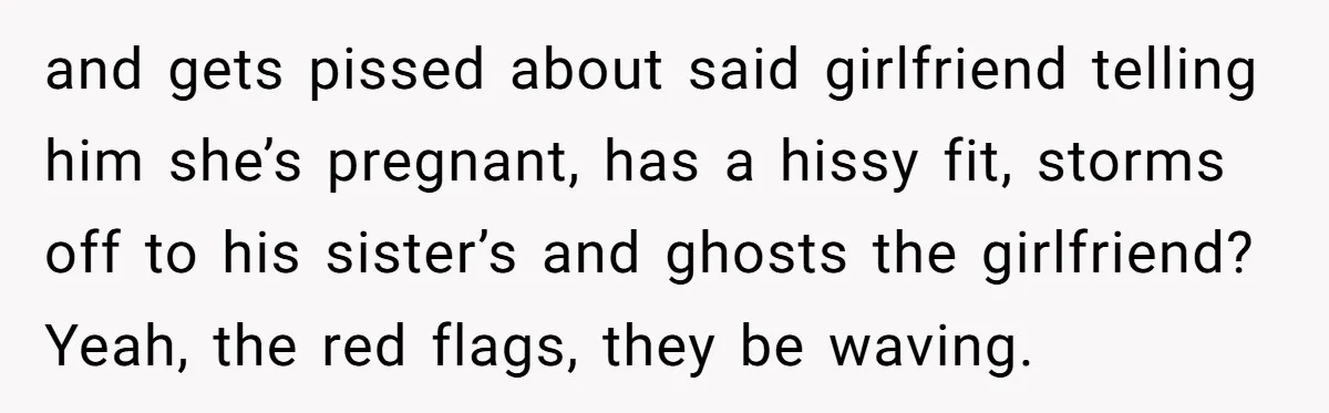 and gets pissed about said girlfriend telling him she’s pregnant, has a hissy fit, storms off to his sister’s and ghosts the girlfriend? Yeah, the red flags, they be waving.