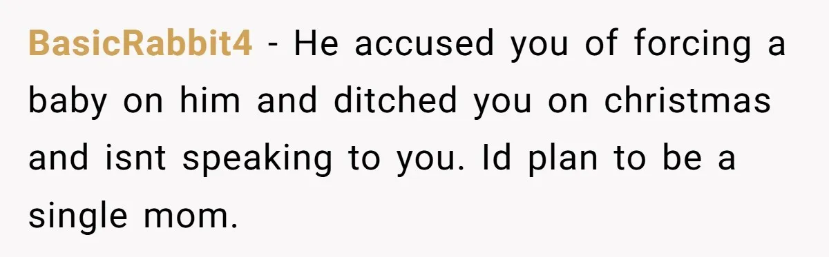 BasicRabbit4 − He accused you of forcing a baby on him and ditched you on christmas and isnt speaking to you. Id plan to be a single mom.