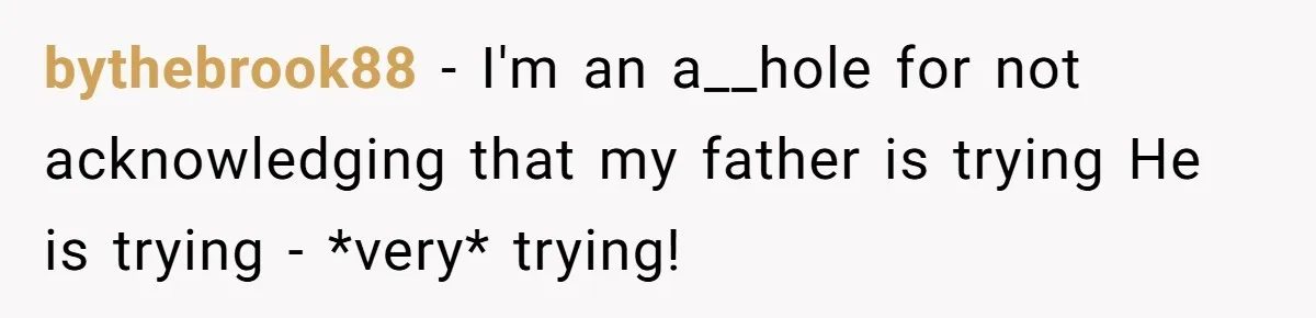 bythebrook88 − I'm an a__hole for not acknowledging that my father is trying He is trying - *very* trying!