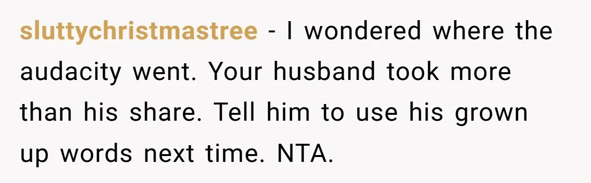 sluttychristmastree − I wondered where the audacity went. Your husband took more than his share. Tell him to use his grown up words next time. NTA.