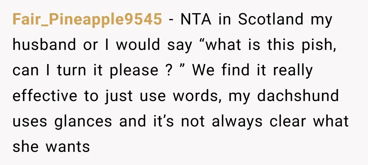 Fair_Pineapple9545 − NTA in Scotland my husband or I would say “what is this pish, can I turn it please ? ” We find it really effective to just use...