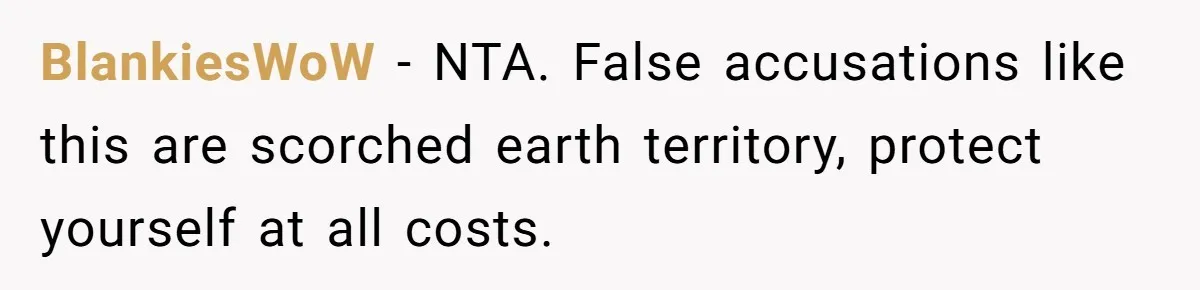 BlankiesWoW − NTA. False accusations like this are scorched earth territory, protect yourself at all costs.