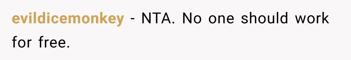 evildicemonkey - NTA. No one should work for free.
