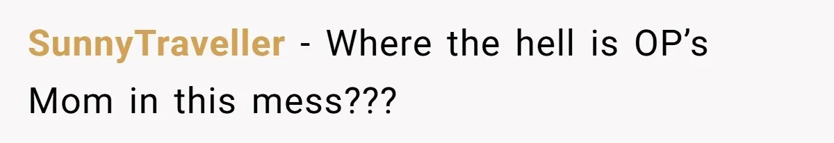 SunnyTraveller − Where the hell is OP’s Mom in this mess???