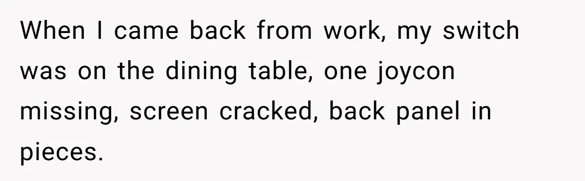 When I came back from work, my switch was on the dining table, one joycon missing, screen cracked, back panel in pieces.