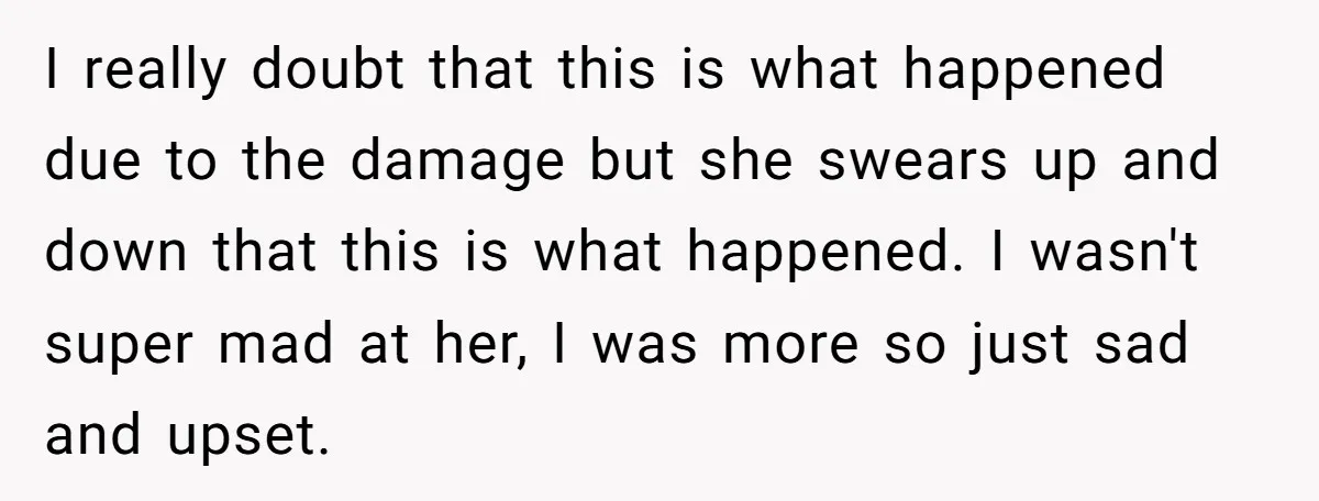 I really doubt that this is what happened due to the damage but she swears up and down that this is what happened. I wasn't super mad at her, I...