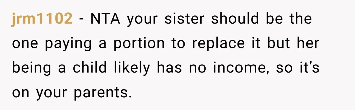 jrm1102 − NTA your sister should be the one paying a portion to replace it but her being a child likely has no income, so it’s on your parents.
