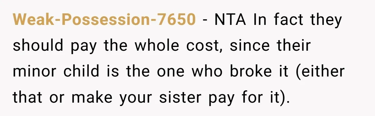 Weak-Possession-7650 − NTA In fact they should pay the whole cost, since their minor child is the one who broke it (either that or make your sister pay for it).
