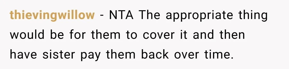 thievingwillow − NTA The appropriate thing would be for them to cover it and then have sister pay them back over time.
