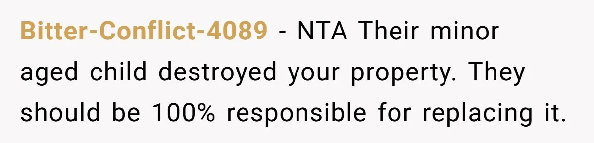 Bitter-Conflict-4089 − NTA Their minor aged child destroyed your property. They should be 100% responsible for replacing it.