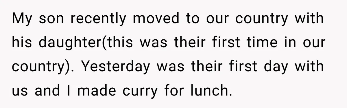 My son recently moved to our country with his daughter(this was their first time in our country). Yesterday was their first day with us and I made curry for lunch.