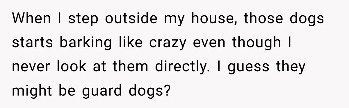 When I step outside my house, those dogs starts barking like crazy even though I never look at them directly. I guess they might be guard dogs?