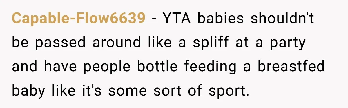 Capable-Flow6639 - YTA babies shouldn't be passed around like a spliff at a party and have people bottle feeding a breastfed baby like it's some sort of sport.