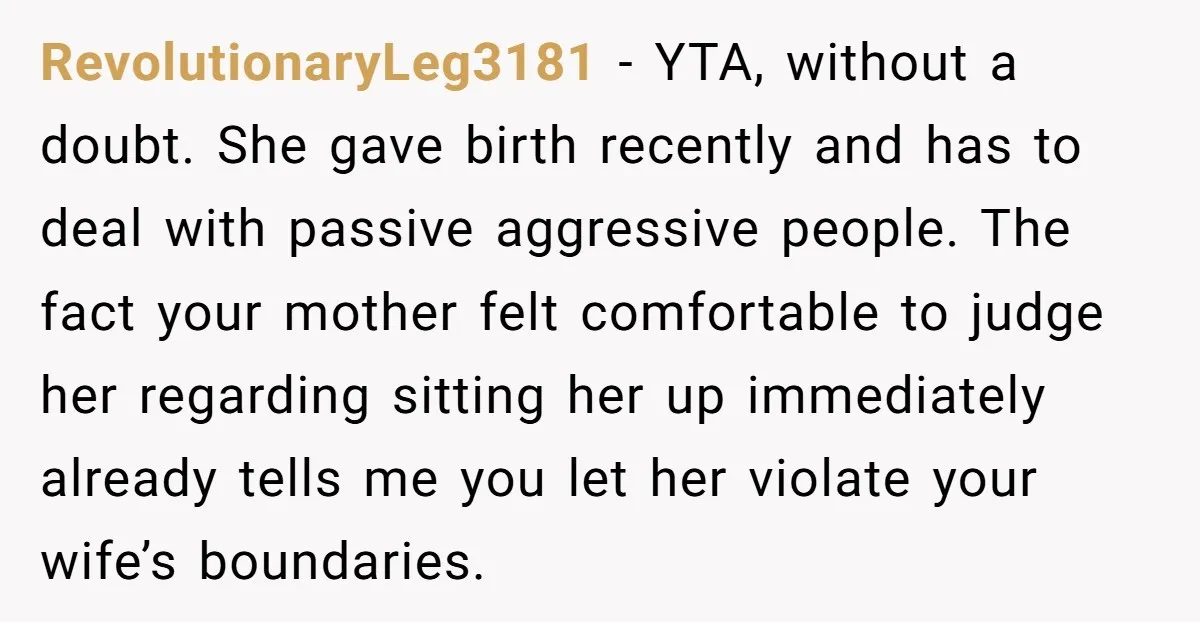 RevolutionaryLeg3181 - YTA, without a doubt. She gave birth recently and has to deal with passive aggressive people. The fact your mother felt comfortable to judge her regarding sitting her...