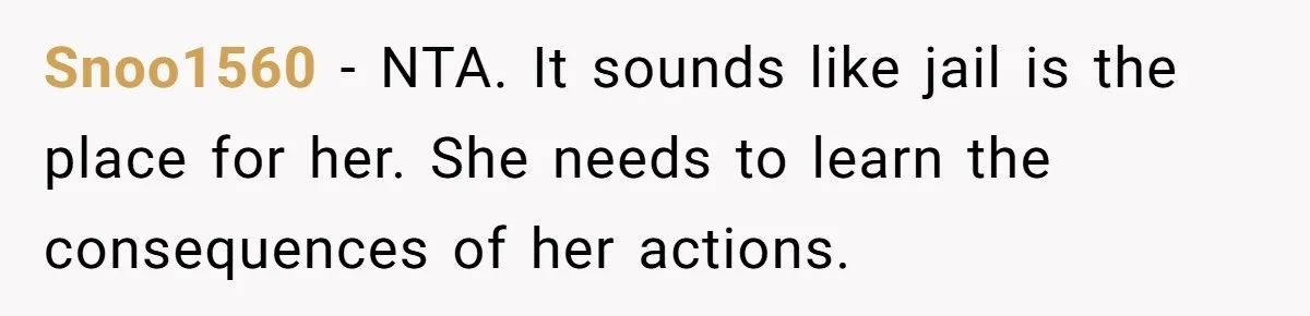 Snoo1560 − NTA. It sounds like jail is the place for her. She needs to learn the consequences of her actions.