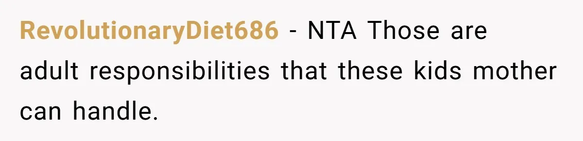 RevolutionaryDiet686 − NTA Those are adult responsibilities that these kids mother can handle.