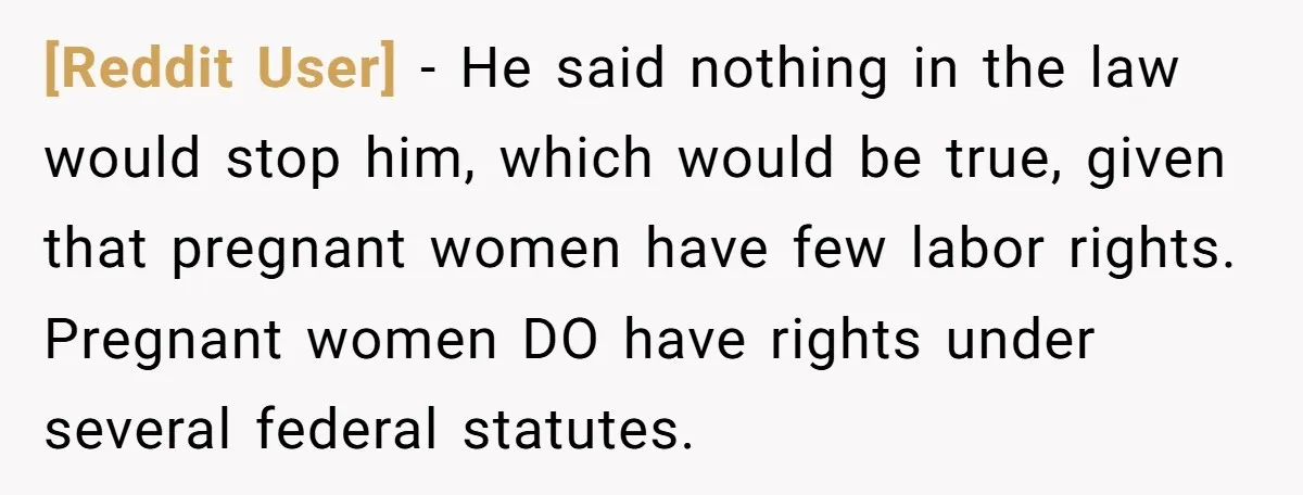 [Reddit User] − He said nothing in the law would stop him, which would be true, given that pregnant women have few labor rights. Pregnant women DO have rights under...