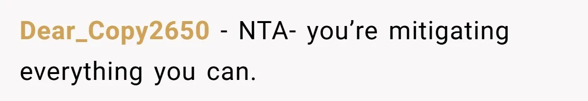 Dear_Copy2650 − NTA- you’re mitigating everything you can.