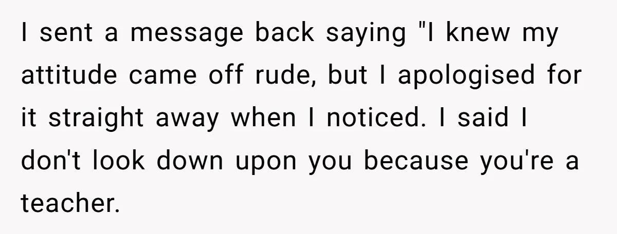 I sent a message back saying "I knew my attitude came off rude, but I apologised for it straight away when I noticed. I said I don't look down upon...