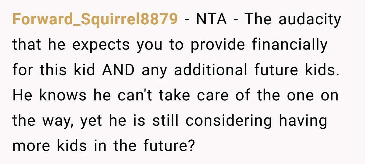 Forward_Squirrel8879 − NTA - The audacity that he expects you to provide financially for this kid AND any additional future kids. He knows he can't take care of the one...